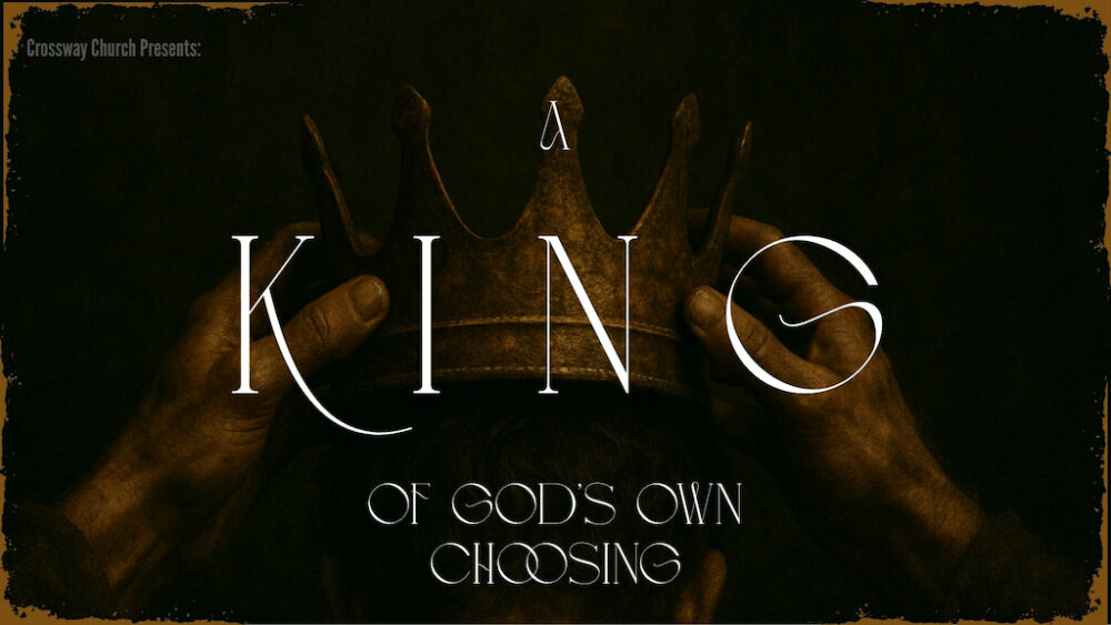 In Search of a King